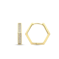 Altın Beşgen Küpe - 1