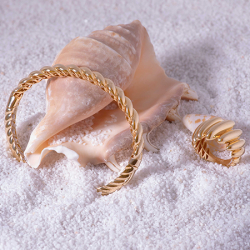 Altın Burgu kelepçe - 3