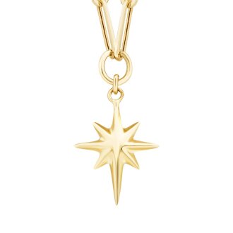 Altın Kutup Yıldızı Kolye - 2