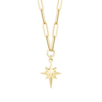 Altın Kutup Yıldızı Kolye - 1
